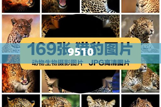 A股天價(jià)離婚女方分走近3億,充分釋義、解釋與落實(shí)-識(shí)別虛假的面具