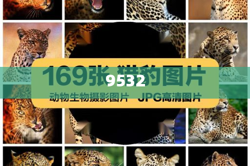 揭開:2025澳門掛牌正版掛牌完整和新奧2025資料大全最新版本和謹(jǐn)防虛假包裝-深入解答、專家解析解釋與落實(shí)?