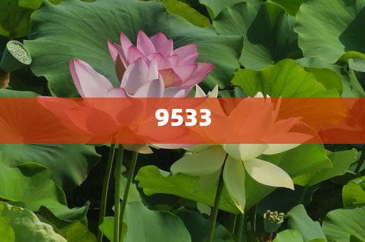 新澳門(mén)期期準(zhǔn)免費(fèi)-精準(zhǔn)解讀、解釋與落實(shí),杜絕虛假的假宣傳風(fēng)