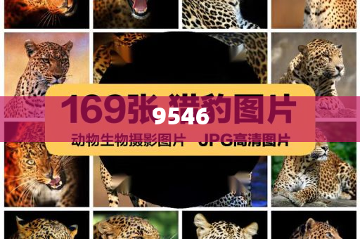 血鉛異?；純撼跖兄卸?個(gè)月以上,優(yōu)化解答、解釋與落實(shí)-防范虛假誘惑鉤