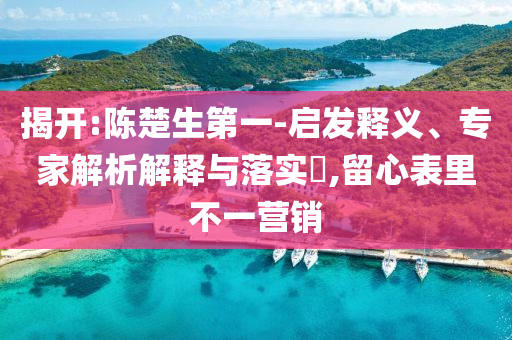 揭開:陳楚生第一-啟發(fā)釋義、專家解析解釋與落實?,留心表里不一營銷