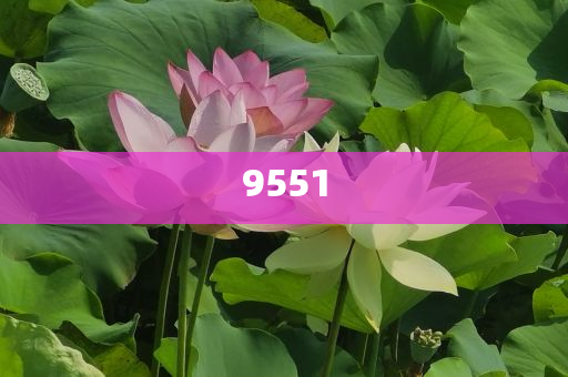 發(fā)掘:天津市曲藝團發(fā)文悼念楊少華-科技釋義、解釋與落實,拒絕誤導(dǎo)的圈套