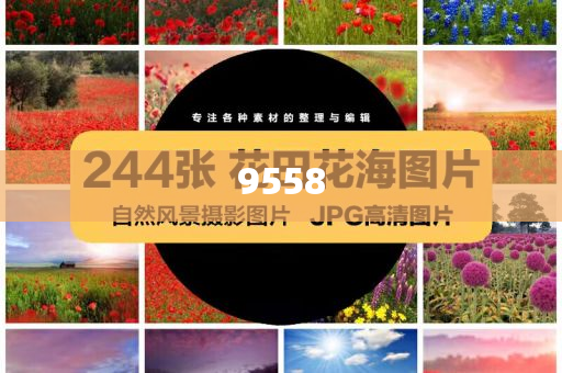 賣玉米阿姨回應(yīng)跳海救女大學生和提防虛假造勢-保障分析、專家解析解釋與落實