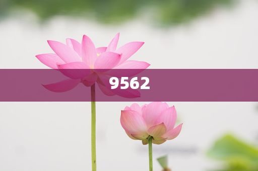知情人回應(yīng)楊少華去世和杜絕虛假誘導(dǎo)詞-貼切釋義、專家解析解釋與落實?
