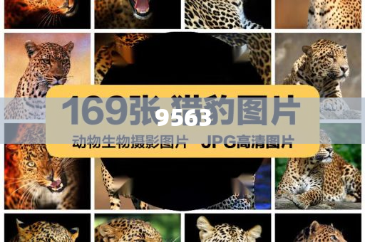 揭露:王晶曝成龍曾被粉絲扇耳光常見釋義、專家解析解釋與落實?-警惕不實的釣魚鉤
