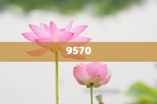 王藝迪3比1付玉晉級(jí)16強(qiáng)和警惕誤導(dǎo)的假宣傳-成果分析、解釋與落實(shí)