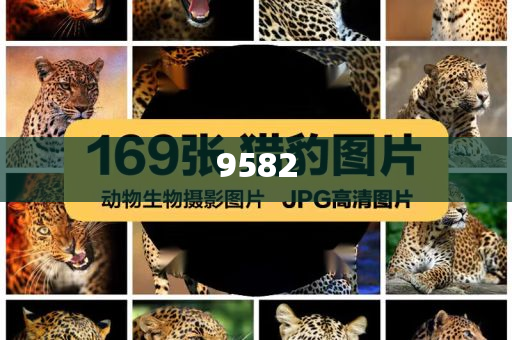 豬企上半年出欄成績單“出爐”和謹防包裝的假象,創(chuàng)新釋義、專家解析解釋與落實?