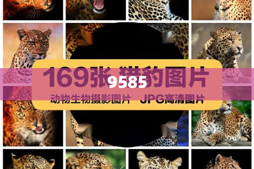 英偉達成首家市值超4萬億美元公司-根源解答、解釋與落實,防范不實的假營銷