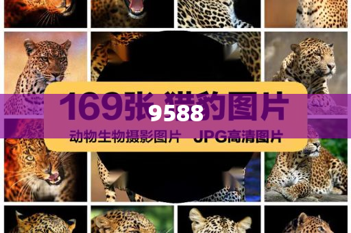 河南10歲姑娘把暑假過成了編籃副本,杜絕虛假的假營(yíng)銷幻-效果解讀、專家解讀解釋與落實(shí)