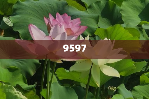 當大爺大叔來寫高考作文:透徹釋義、專家解讀解釋與落實?,謹防夸大宣傳