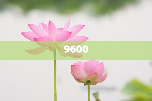 超40家銀行推出“養(yǎng)老貸”規(guī)范解答、專家解析解釋與落實,留心宣傳的陷阱