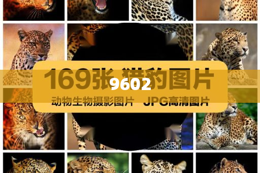 威海被生母毆打致死的5歲男童已入土明晰解答、專家解讀解釋與落實?,抵制欺騙承諾套路