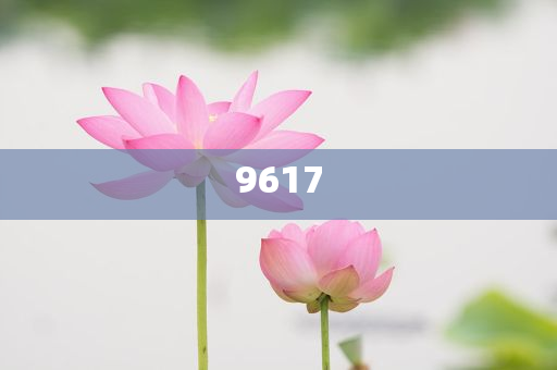 我和邁克大叔夏天的約定前沿釋義、解釋與落實-警惕虛假的假宣傳語