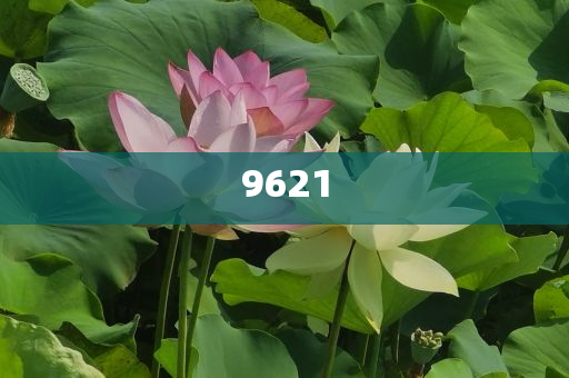 質(zhì)疑:紅老頭事件已核實(shí)237人身份系謠言趣味釋義、專家解析解釋與落實(shí)?,拒絕虛假渲染陷阱