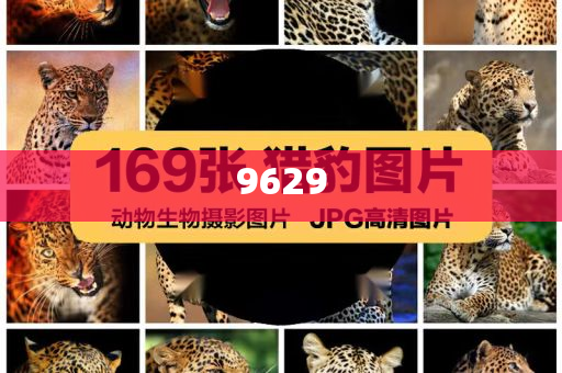 書卷一夢(mèng)全員神助攻:科技釋義、專家解讀解釋與落實(shí)?,拒絕不實(shí)的假營(yíng)銷套