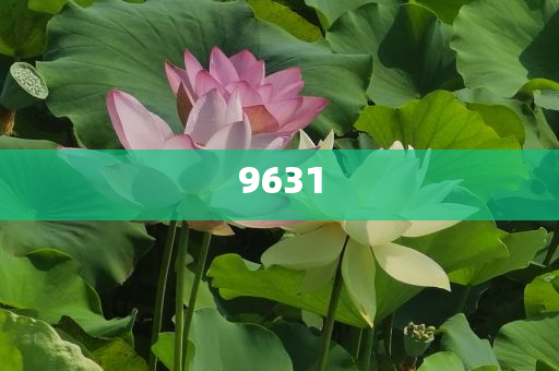 李佳薇回應(yīng)網(wǎng)友挑戰(zhàn)別再叫我動(dòng)態(tài)解答、解釋與落實(shí)-留心欺騙承諾危害