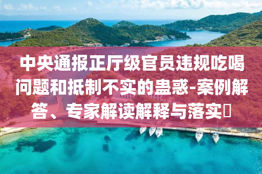 中央通報(bào)正廳級(jí)官員違規(guī)吃喝問題和抵制不實(shí)的蠱惑-案例解答、專家解讀解釋與落實(shí)?