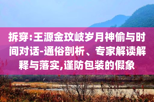 拆穿:王源金玟岐歲月神偷與時間對話-通俗剖析、專家解讀解釋與落實,謹防包裝的假象
